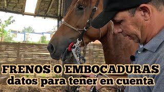 FRENOS O EMBOCADURAS PARA LOS CABALLOS EXPLICANDO DETALLES PARA TENER EN CUENTA [upl. by Akcirahs430]