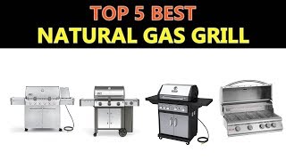 Best Natural Gas Grill [upl. by Herminia]