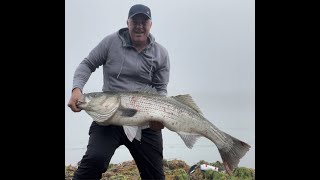 Cape Cod Canal Striped Bass Fishing  Monster Stripah [upl. by Varion]