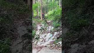 STEEP MOUTIPLE ROCKY SLAB with GRAVEL and LEAVES  Trial Montesa 301 trials training honda [upl. by Lenrad413]