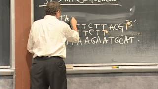 Agarose Gel Electrophoresis DNA Sequencing PCR Excerpt 1  MIT 701SC Fundamentals of Biology [upl. by Sinnaoi]