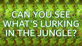 Stereogram Challenge 22  Whats Lurking in the Jungle [upl. by Ahsael]