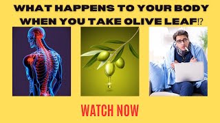 This Is Happening to Your Body On Olive leaf Extract ⁉️ health olives [upl. by Dnalyar328]