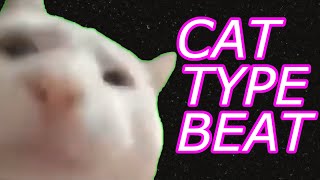 I made a beat with cat noises cat meow rap meme original song [upl. by Marvella]