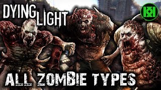 Dying Light 2  Late Game Free Roam amp Combat Gameplay  PC [upl. by Eciralc473]