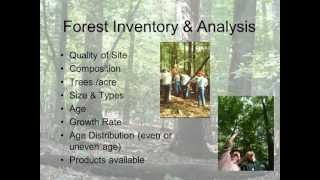 Principles of silviculture [upl. by Iruy]