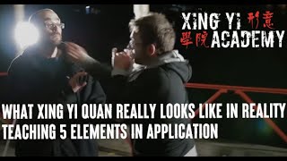 What Xing Yi Quan Really looks like in Reality Teaching 5 Elements in Application [upl. by Anohsal]