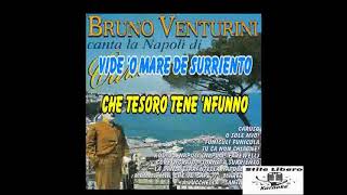 KARAOKE TORNA A SURRIENTO  BRUNO VENTURINI Demo [upl. by Noivert936]