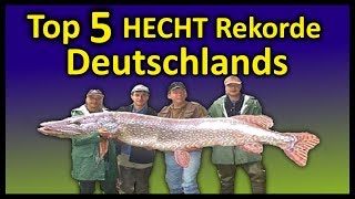 Top 5 Rekord HECHTE Deutschlands  146 Meter Hecht [upl. by Adnerak832]