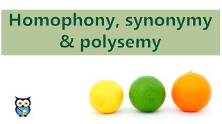 Homophony Synonymy Polysemy [upl. by Billie726]