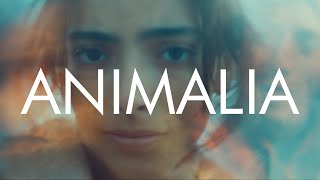 ANIMALIA  Officiële trailer  Nederland [upl. by Jemmie]