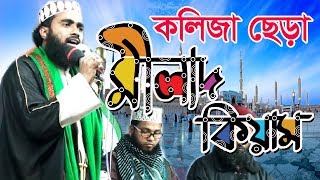 জগৎ সেরা মীলাদ কিয়াম Best Milad Kiam Milad o kiyam [upl. by Amandie645]