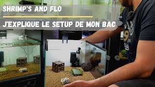 Aquarium pour crevette caridina cantonensis Tuto [upl. by Marchal]