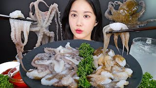 산낙지 vs 주꾸미회 먹방🐙원기보충 완료💪산낙지 먹방✨  Raw Octopus  ASMR MUKBANG  EATING SHOW [upl. by Tiffa]