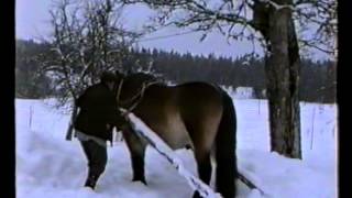 Bonden Sven Jansson plogar snö med Prinsen 19940205 [upl. by Annwahsal324]