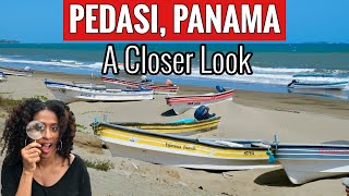 WHY MOVE TO PEDASI PANAMA  RETIRE IN PANAMA  AZUERO PENINSULA  LOS SANTOS [upl. by Michelle571]