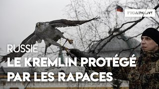 Russie des rapaces pour protéger le Kremlin [upl. by Lleneg]