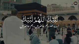 Labaik Allahumma Labbaik With Urdu Translation  Hajj Status  Talbiya 2023  hajj2023 [upl. by Huxham]