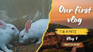 Our First vlog Pease support us Meet our pets [upl. by Wamsley]