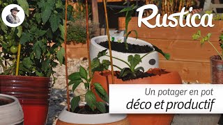 Un potager en pot décoratif et productif au balcon ou dans une cour [upl. by Amieva]