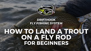 How to Land Trout on a Fly Rod for Beginners [upl. by Thorlay]