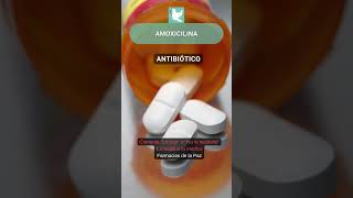 Amoxicilina  Sustancias en medicinas indicaciones y efectos secundarios PLM medicamentos [upl. by Yht]