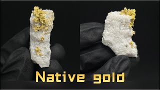 Chinese mineral specimen Native gold from Wen County Gansu China [upl. by Gianni335]