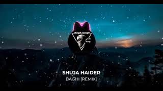 BAAGHI  Peera Ve Peera Remix  Shuja Hyder [upl. by Snashall]