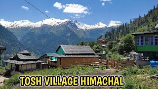 tosh himachal pradesh  tosh village  tosh gaon himachal  kasol trip  kullu manali tourist places [upl. by Erasme]