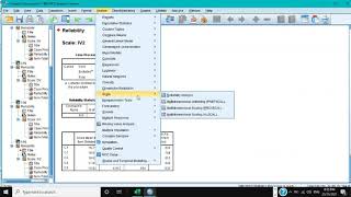 SPSS tutorial 3 How to do Reliability Analysis [upl. by Eleni]