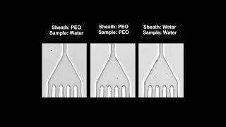 Microfluidic coflow of Newtonian and viscoelastic fluids for [upl. by Smith70]