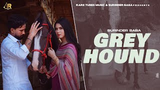 Greyhound  Full Song  Surinder Baba  G Skillz  New Punjabi Song 2024  Latest Punjabi Song 2024 [upl. by Zerep]