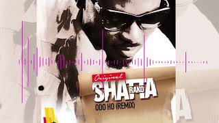 Shatta Rako ODO HO [upl. by Aizitel986]