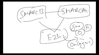 smarcb ini1 frcpath epithelioid sarcoma ezh2 [upl. by Gnok826]