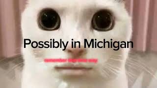 POSSIBLY IN MICHIGAN LYRICS [upl. by Cadel]