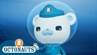 Octonauts  Explore Rescue Protect  Cartoons for Kids  Underwater Sea Education [upl. by Adnawt85]