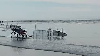 Whitebait season kicks off in South Island [upl. by Ahsitahs]