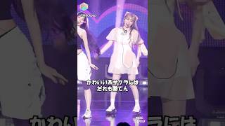 LE SSERAFIM『CRAZY』 可愛いしかないサクラを愛でる sakura lesserafim crazy stagemix fancam サクラ ルセラフィム 宮脇咲良 [upl. by Glenine]