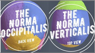 Skull Anatomy Lec 2 Norma Verticalis amp Norma Occipitalis [upl. by Clarissa]