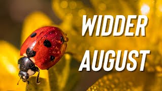 ♈️ WIDDER AUGUST 2022 TAROT ♈️ DU BIST DER STAR tarot widder [upl. by Pascia]