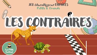 LES CONTRAIRES 💙 Jeu éducatif Quiz pour Enfants 🎲 Maternelle 35 ans [upl. by Seuqram84]