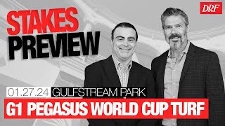 Grade 1 Pegasus World Cup Turf Preview  January 27 2024 [upl. by Ric]