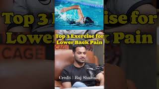 Top 3 Exercises to Overcome Lower Back Pain lowerbackpain exercises backpainphysiotherapy [upl. by Quiteri]