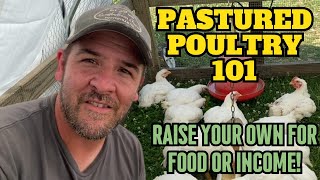 Raising Pastured Poultry Broilers the RIGHT way A Comprehensive 101 Guide [upl. by Skcirdnek]