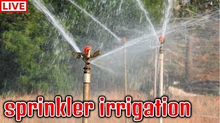 अब खेतों मैं होगी बारिश  Amazing Sprinkler Irrigation System in India  Indian Farmer [upl. by The937]