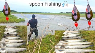 Wallago catfish Video  Tengara Fish catching  Murrel Mash macli  Ahtesham khan Fishing [upl. by Shepperd151]