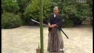 Great tameshigiri by Ueki sensei  Legendary Budo Masters [upl. by Shoshanna]