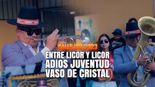 TUPAC AMARU BANDA SHOW INTERNACIONAL  ENTRE LICOR Y LICOR  ADIOS JUVENTUD  VASO DE CRISTAL 2024 [upl. by Assirt]