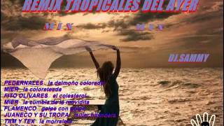 REMIX TROPICALES DEL AYER MIX DJ SAMMY [upl. by Ieso143]