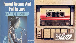 ELVIN BISHOP  FOOLED AROUND AND FELL IN LOVE 10 HOURS EXTENDED [upl. by Yhtamit]